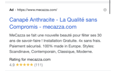 mecazza-google-ads-search