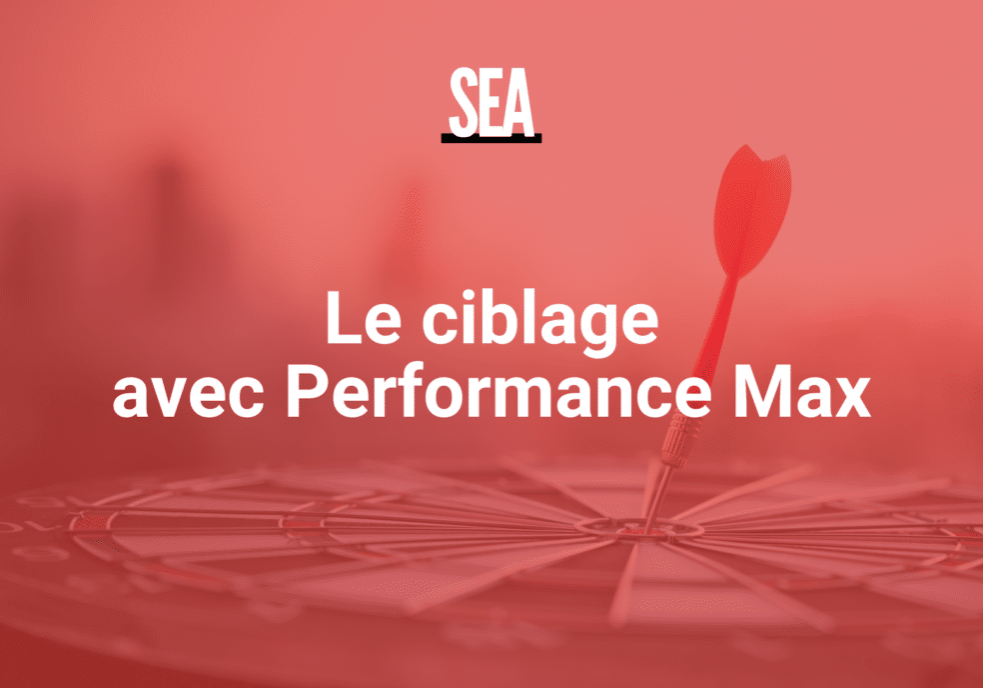 ciblage performance max